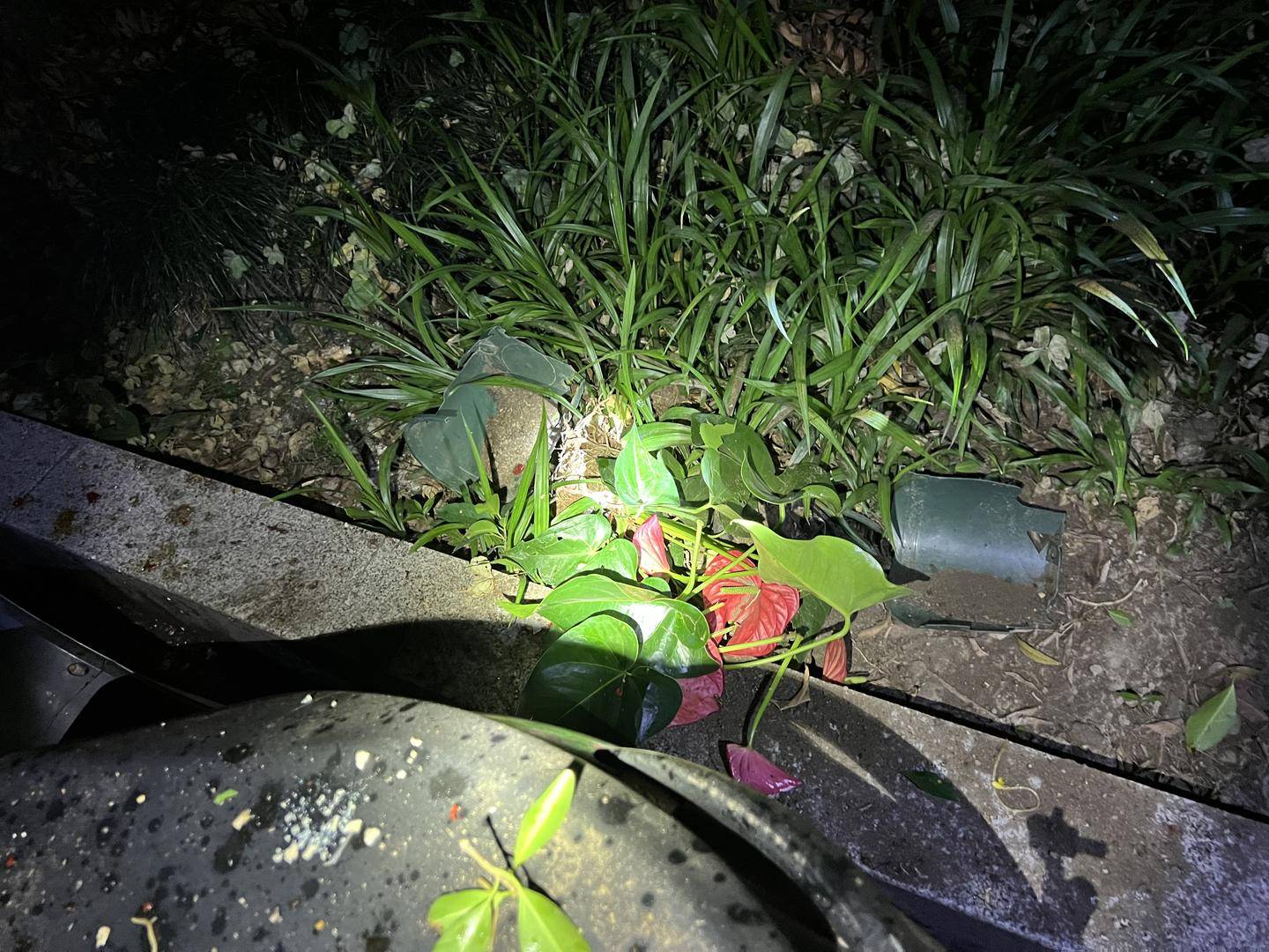 怎么开皇冠信用盘_男子与朋友吃酒起争执怎么开皇冠信用盘，竟从10楼扔下绿萝、兰花和不锈钢盆，被刑拘