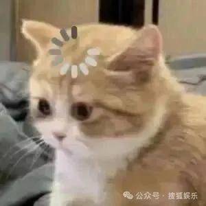 皇冠信用开号_离婚三年又被拍到亲密逛超市皇冠信用开号，他俩这是纯带娃还是真复合了？