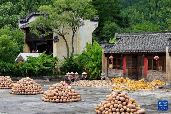 皇冠信用开户_立秋农事正当忙