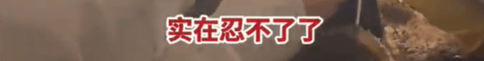 皇冠信用盘怎么租_高铁上因邻座男童长时间踢座皇冠信用盘怎么租，女子写管不住小孩别带，被家长怼哭